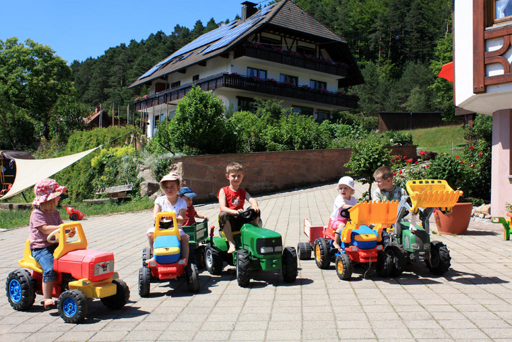 Schlosshof - der Urlaubsbauernhof Elzach Exterior foto