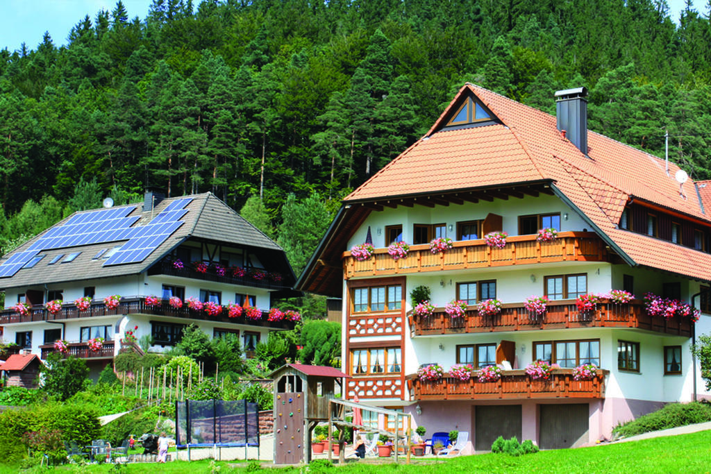 Schlosshof - der Urlaubsbauernhof Elzach Exterior foto